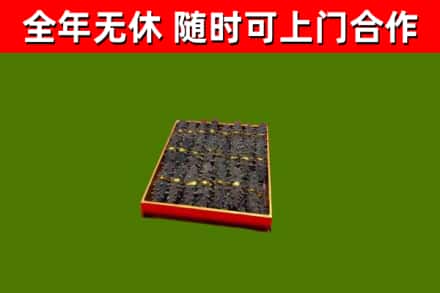 泗阳回收海参